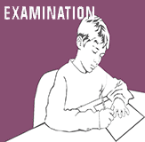 Examination Software for Institutions